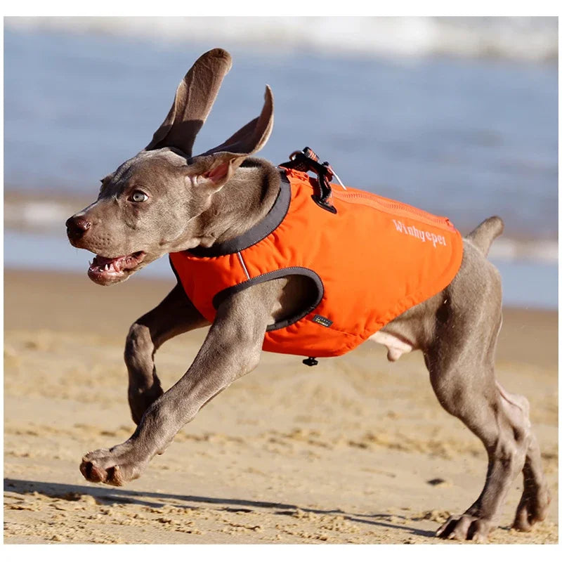TRUELOVE High-Performance Foul Weather Jacket Dog Harness Vest Combination