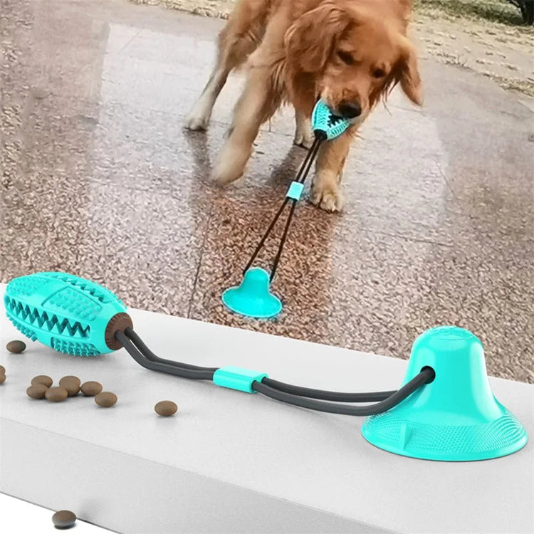 Dog Toys
